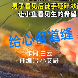 给心留道缝