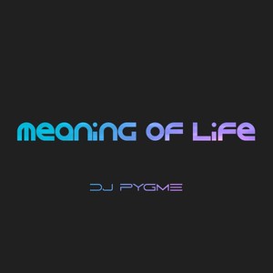 Meaning of Life