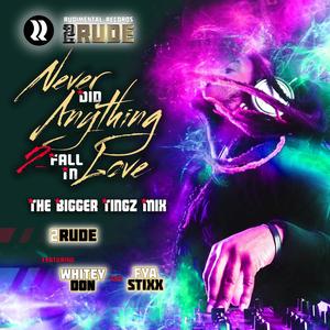 Never Did Anything 2 Fall In Love(feat. Whitey Don & FYA Stixx) (The Bigger Tingz Mix|Radio Edit)