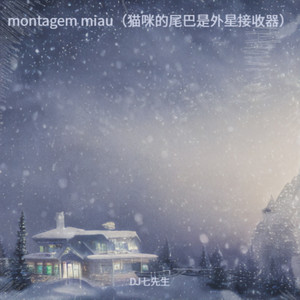 DJ七先生 - montagem miau (猫咪的尾巴是外星接收器)