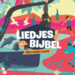 Sorryliedje (11) (Instrumentaal)