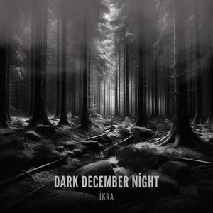 Dark December Night