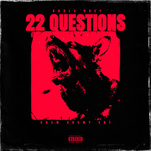 22 Questions (Explicit)