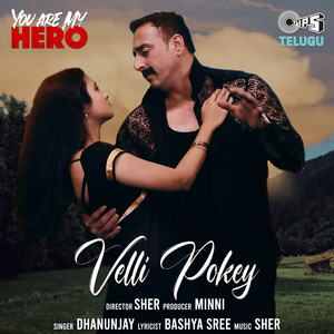 Velli Pokey