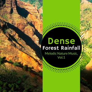 Dense Forest Rainfall - Melodic Nature Music, Vol.1