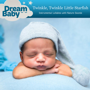 Twinkle, Twinkle Little Starfish