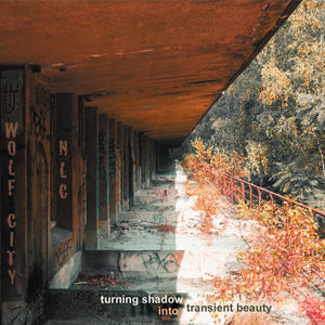 Turning Shadow Into Transient Beauty (Explicit)