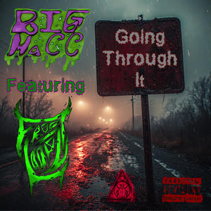 Going Through It (feat. Froot Loopz) (Explicit)