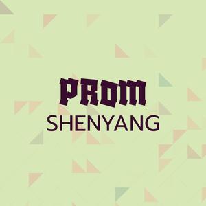 Prom Shenyang