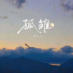 孤雏-赵十三
