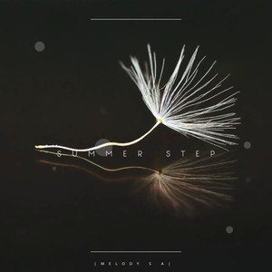 Summer Step
