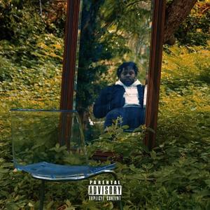 Don't Need You Around (feat. Zahir Amir) (Explicit)