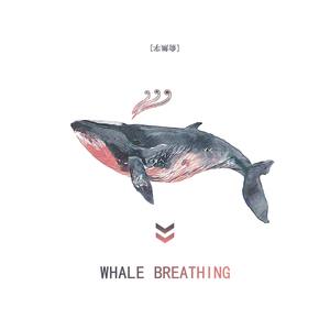 鲸-whale breathing