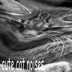 CUTE CAT NOISES (Explicit)