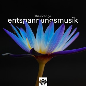 Entspannungsmusik - Die richtige Entspannungsmusik für Meditation & Achtsamkeitsübungen