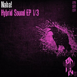 Hybrid Sound EP 1/3