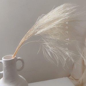 这世界那么多人