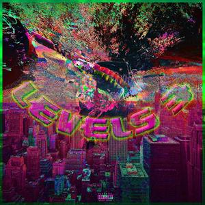 Level 3 (Explicit)