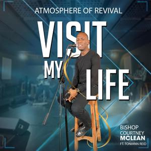 Visit My Life (feat. Toni Ann Reid)