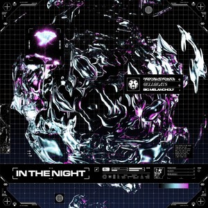In The Night (Explicit)