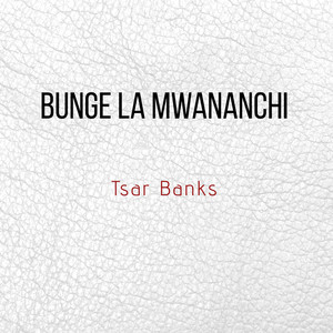 Bunge La Mwananchi