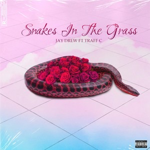 Snakes in the Grass (Explicit)