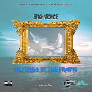 Pictures in the Frame (Explicit)