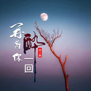 再为你醉一回