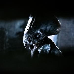 This is an Extermination