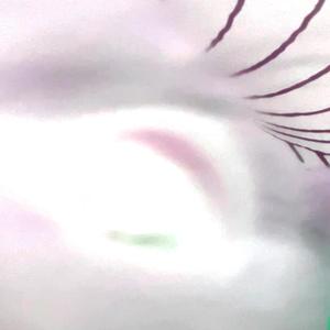 to you im mel. (Explicit)