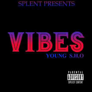 Vibes (Explicit)