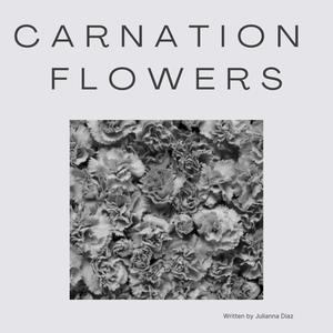 Carnation Flowers (feat. Erica Piper)