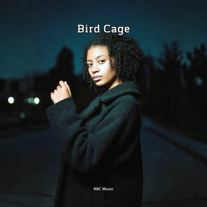 Fire Work-Alice Gabriel