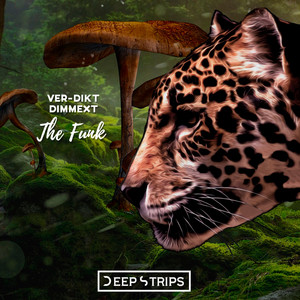 The Funk (Original Mix)