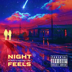 Night Feels (Explicit)