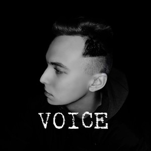 Voice