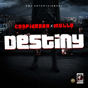 Destiny (Explicit)