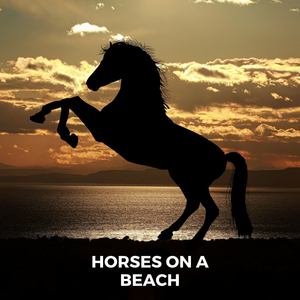 Horses on a Beach