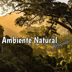 Ambiente Natural Relajante