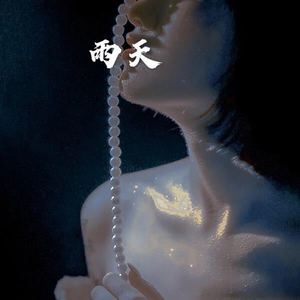 再也不会遇见第二个她