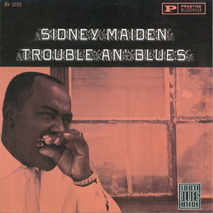 Trouble An' Blues