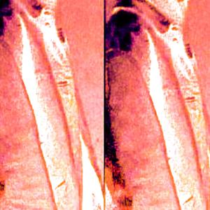 dylemma (feat. jonts) (Explicit)