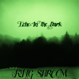 Echo in the Dark (Explicit)