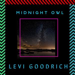 Midnight Owl