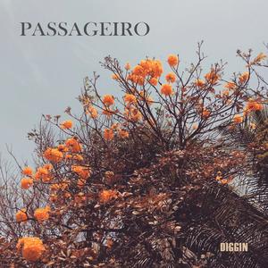 PASSAGEIRO (Explicit)