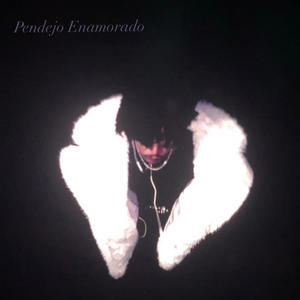 Pendejo Enamorado (Explicit)