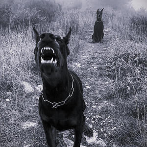 #8-- (feat. Po!!y) (Explicit)