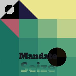 Mandate Seize