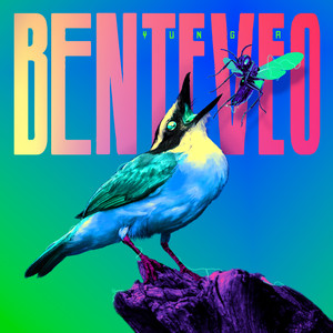 Benteveo