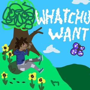 Whatchu Want(feat. 2tall the Prodigee & Soul.Drumz) (Explicit)